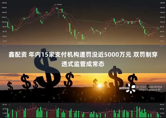 鑫配资 年内15家支付机构遭罚没近5000万元 双罚制穿透式监管成常态