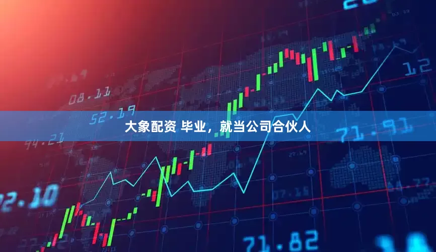 大象配资 毕业，就当公司合伙人